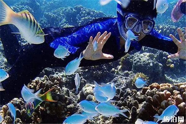 越南芽庄海上滑翔伞多少钱