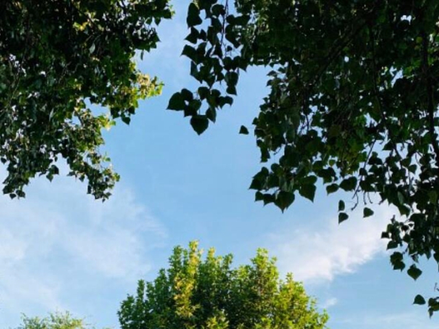 湖南未来三天持续高温 最高气温达35～37℃左右