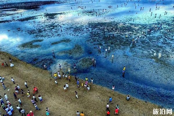 2019潭门赶海节时间+地点+交通+活动介绍
