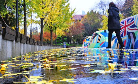 今日起上海正式进入汛期　本周全市多阴雨气温30℃以上