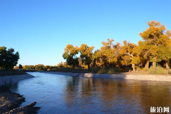 额济纳旗经典旅游线路推荐