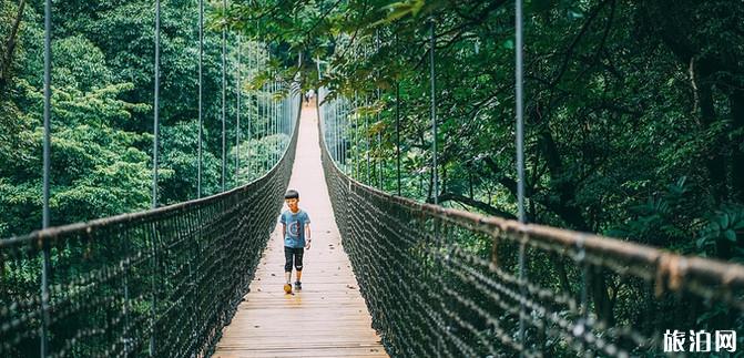 成都八月份旅游攻略