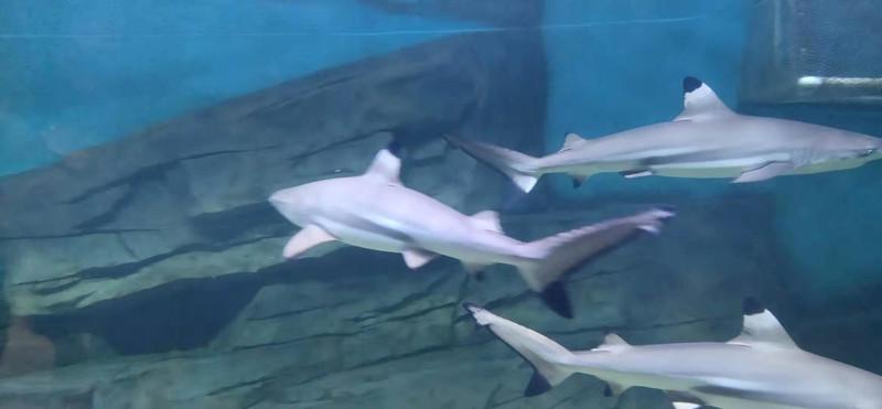 横店影视城一日游玩攻略 横店影视城一日游玩攻略