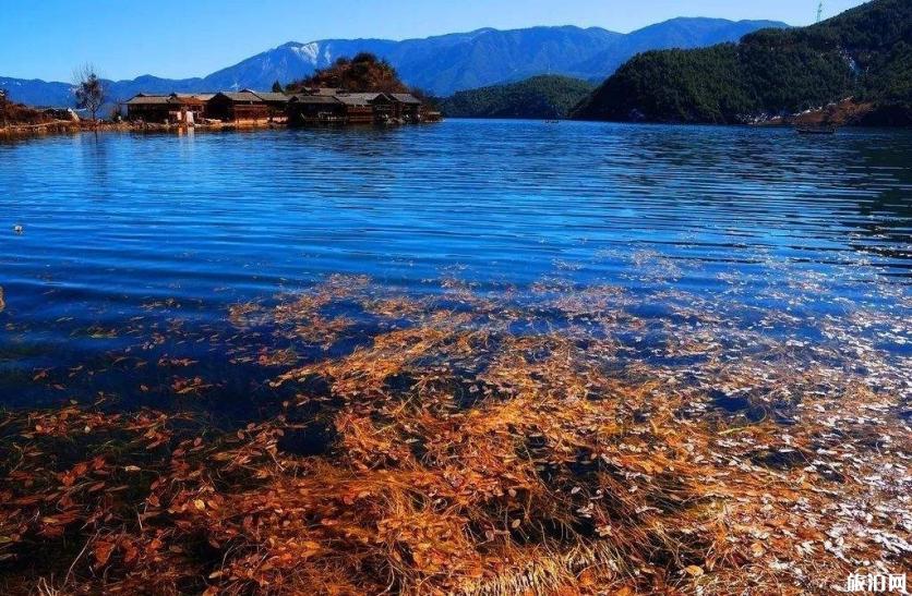 泸沽湖四季旅游穿衣指南