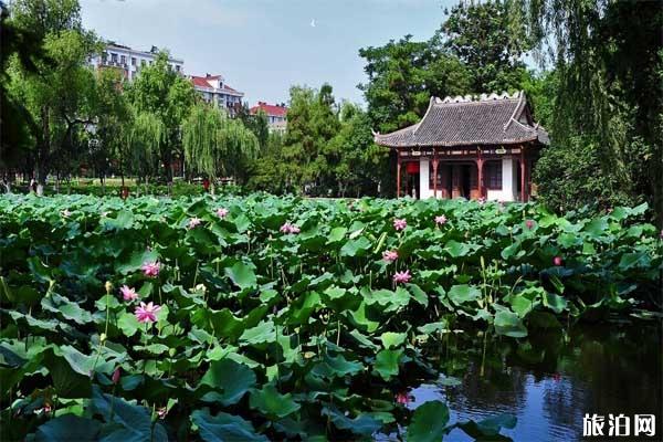 南京四日旅游路线攻略+住宿+美食