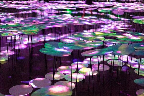 广州teamlab展览门票多少钱 广州teamlab展览门票多少钱