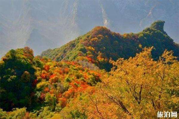 少华山红叶什么时候最美 附2019少华山红叶节时间