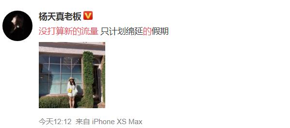 杨天真表示没打算新的流量 杨天真发声否认要签杨紫和郑爽