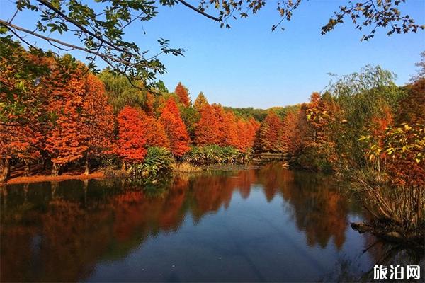 南京钟山风景区的小众风景游玩路线