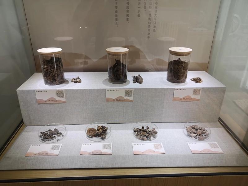 天津沉香艺术博物馆怎么样 天津沉香艺术博物馆好玩吗 天津沉香艺术博物馆怎么样 天津沉香艺术博物馆好玩吗