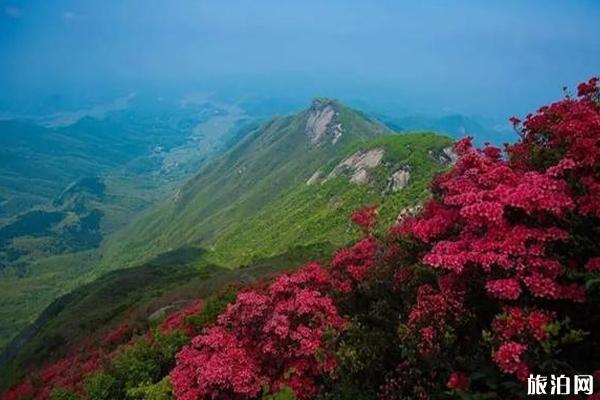 南岳衡山门票2019一次购票多次进出+游玩攻略