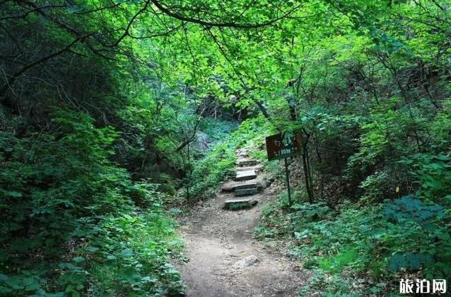 塞罕坝御道口自驾游旅游攻略