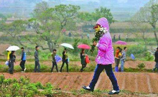 清明节天气预报