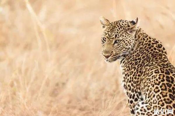 南非旅游景点介绍