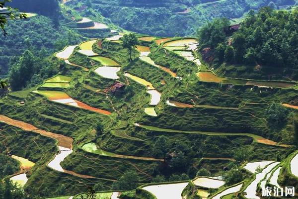 2019贵州六日游游玩攻略 2019贵州六日游游玩攻略