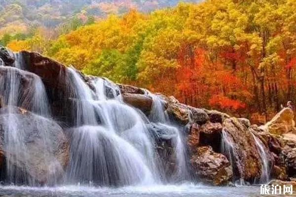 秋天采摘的地点推荐 秋天采摘的地点推荐