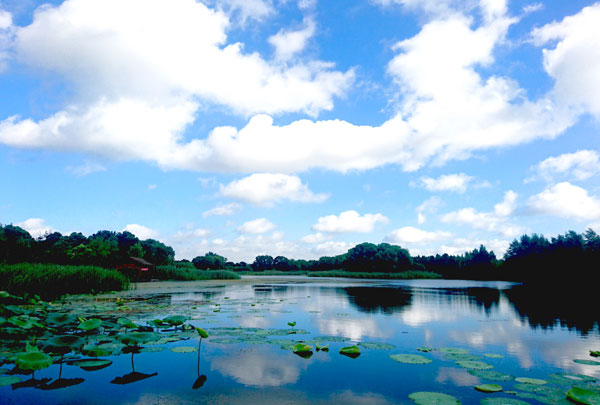 苏州虎丘门票多少钱 苏州虎丘门票价格