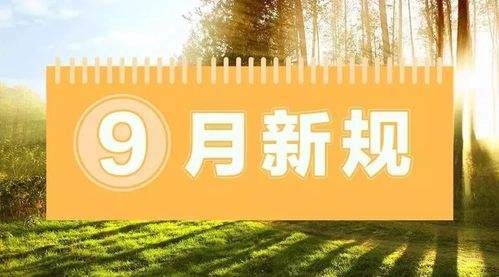 9月新规