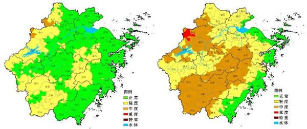 今明天浙江阴雨降温体感湿冷 低温霜冻不利早茶开采