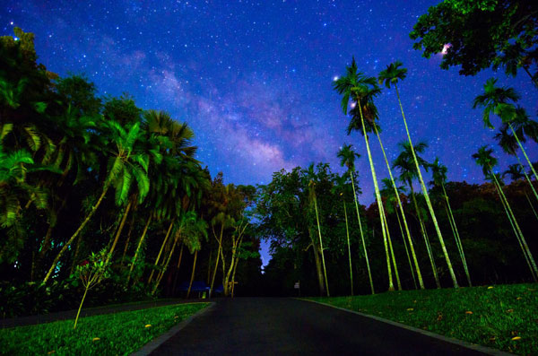 西双版纳好玩吗 西双版纳必去的景点