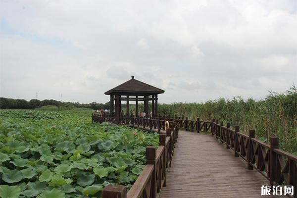 苏州荷塘月色湿地公园好玩吗 门票多少钱 苏州荷塘月色湿地公园好玩吗 门票多少钱