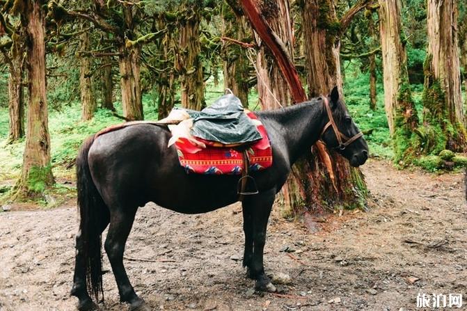 四姑娘山旅游攻略2019