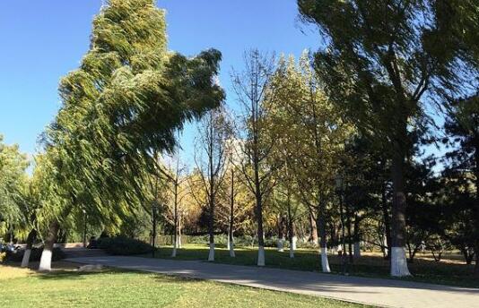 福建福州最高气温高达40.3℃! 历史上第四次高温超过40℃