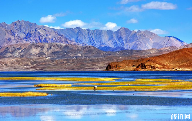 昆明什么时候去比较好 昆明什么时候去比较好