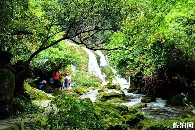 茂兰旅游攻略 茂兰徒步看点