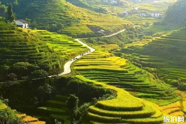 江西秋天哪里最好玩