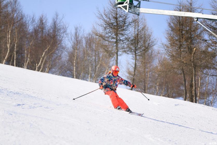 滑雪的分类 滑雪板单板和双板的区别 滑雪的分类 滑雪板单板和双板的区别