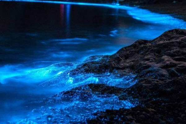 平潭旅游攻略 平潭岛旅游攻略