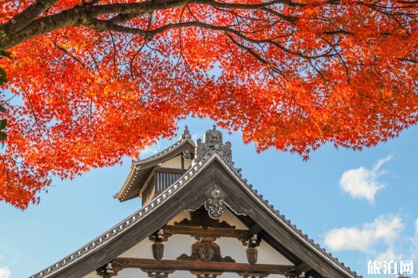 日本岚山小火车攻略 岚山小火车门票可以到那里买么