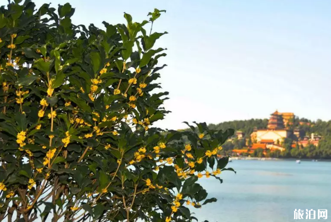 2019中秋北京关闭景点名单+地铁运营时间调整+灯光秀时间+中秋活动汇总