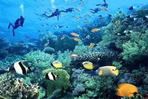 西沙群岛可以自由行吗 西沙群岛好玩吗