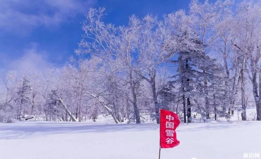 雪乡和雪谷哪个好玩 哈尔滨雪乡怎么去