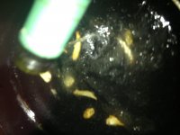 章鱼黄瓜瘦肉营养汤的做法步骤8