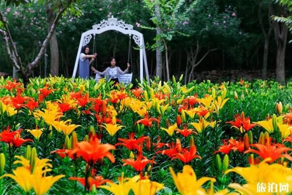 2019年七夕济南红叶谷优惠门票信息+游玩攻略信息