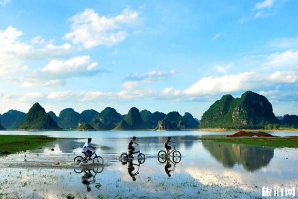 靖西旅游有什么看点