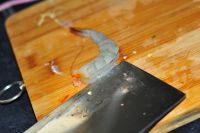 鲜虾蒜蓉粉丝的做法步骤4