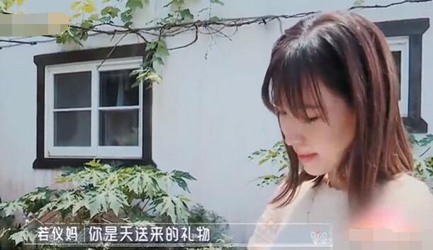 陈若仪和妈妈的对话是怎么回事 陈若仪和妈妈的对话是什么情况