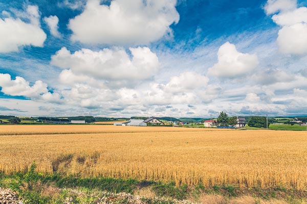日本北海道好玩吗 北海道适合几月份去
