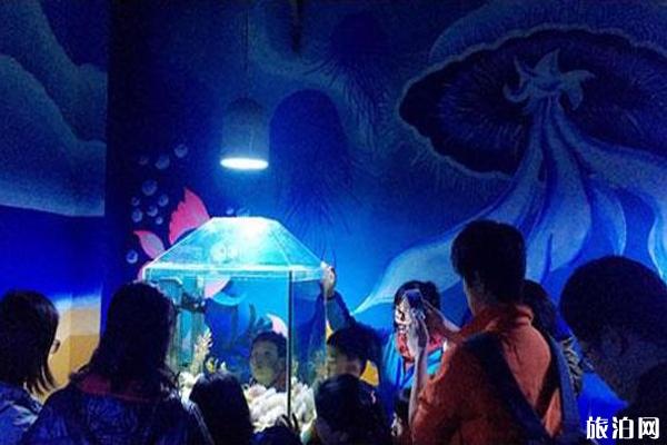 2019北京亲子夜宿奇妙海洋馆时间+地点+门票+活动安排