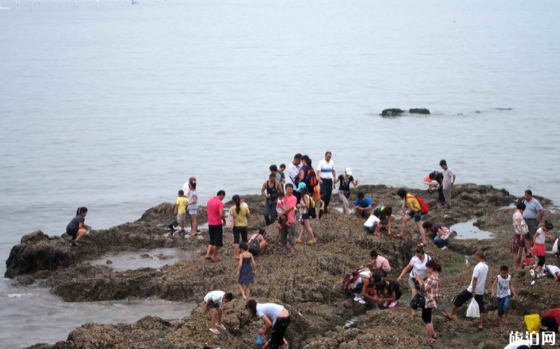 日照一日游线路推荐 日照一日游线路推荐