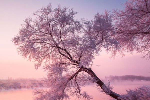 雾凇岛什么时候去好 雾凇岛几月份去玩比较好