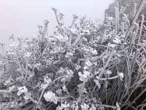 今晨广东最低气温仅4.4℃ 未来冷空气活动趋于减弱