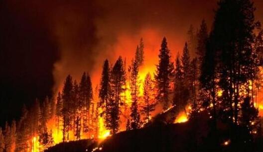 内蒙古森林草原火险等级居高不下 局地伴有沙尘天气