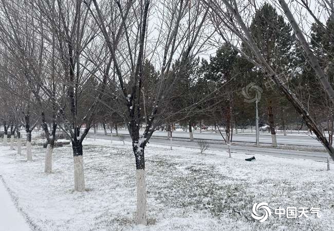 吉木乃：迎来首场降雪天气