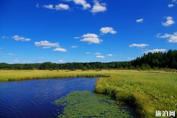 木兰围场景点推荐 木兰围场旅行须知 木兰围场景点推荐 木兰围场旅行须知