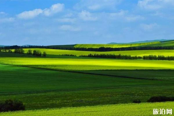 海尔拉有什么好吃的 海尔拉旅游须知 海尔拉有什么好吃的 海尔拉旅游须知